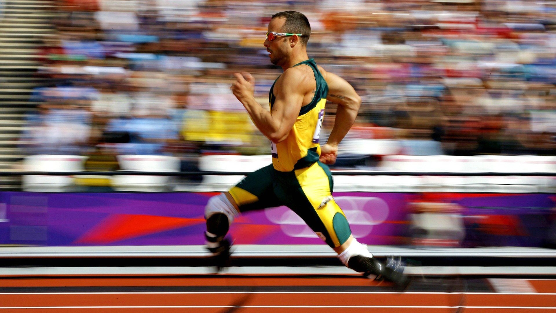 美洲杯狂热战场:明星盛放,精彩由你!,美洲杯现场观众