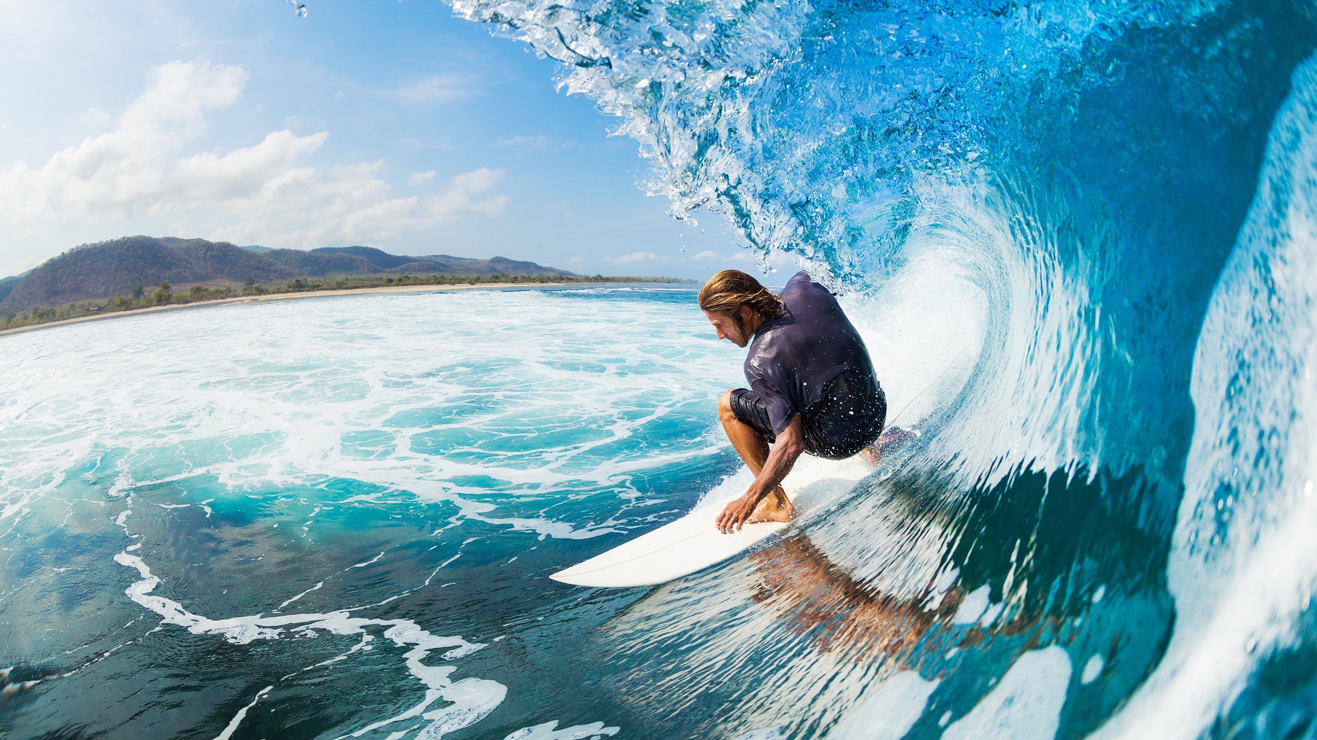 亚历克斯·格林伍德稳步提高，成为袋鼠队不可或缺的后防力量，亚历克斯-格林伍德